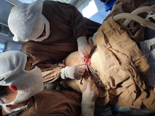 Inson qadri uchun! Surxondaryo filiali tomonidan olis xudid xisoblangan Sariosiyo tumani tibbiyot birlashmasida filial 