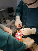 photo_2022-09-20_18-11-05 (2).jpg