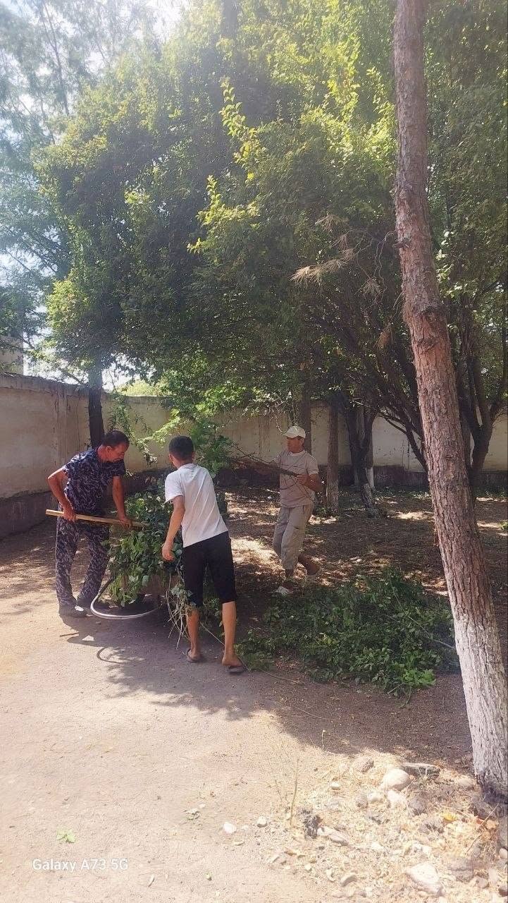 Toshkent viloyati Endokrinologiya dispanserda "Dolzarb 40 kunlik" tadbiri doirasida keng ko'lamli xashar va obodonlashtirish ishlari izchil olib borilmoqda.