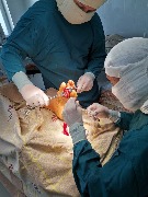 photo_2022-09-20_18-11-07 (2).jpg