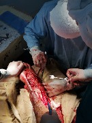 photo_2022-09-20_18-11-02 (2).jpg