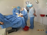 329001411_729403435425876_8188960091640524045_n (1).jpg