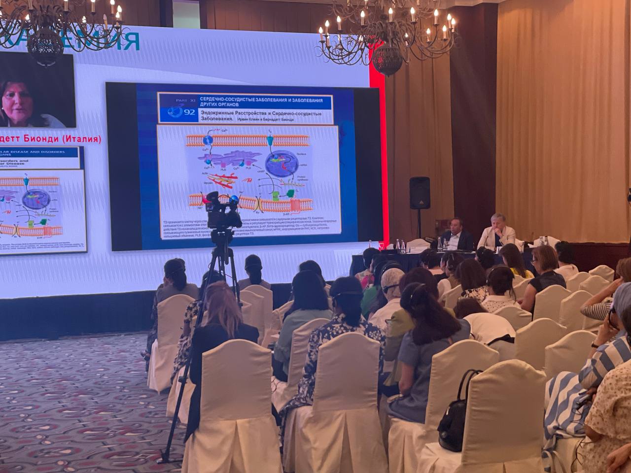 Международная конференция «Тирео Академия»