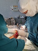 photo_2022-09-20_18-11-06 (3).jpg