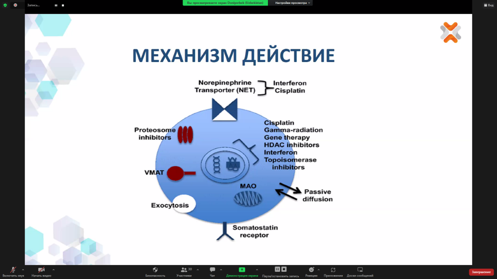 Снимок экрана (4).png