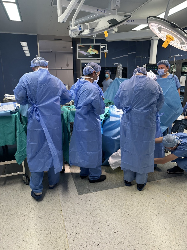 387762656_645183997782779_5037569761598559192_n (1).jpg